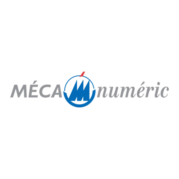logo mecanumeric
