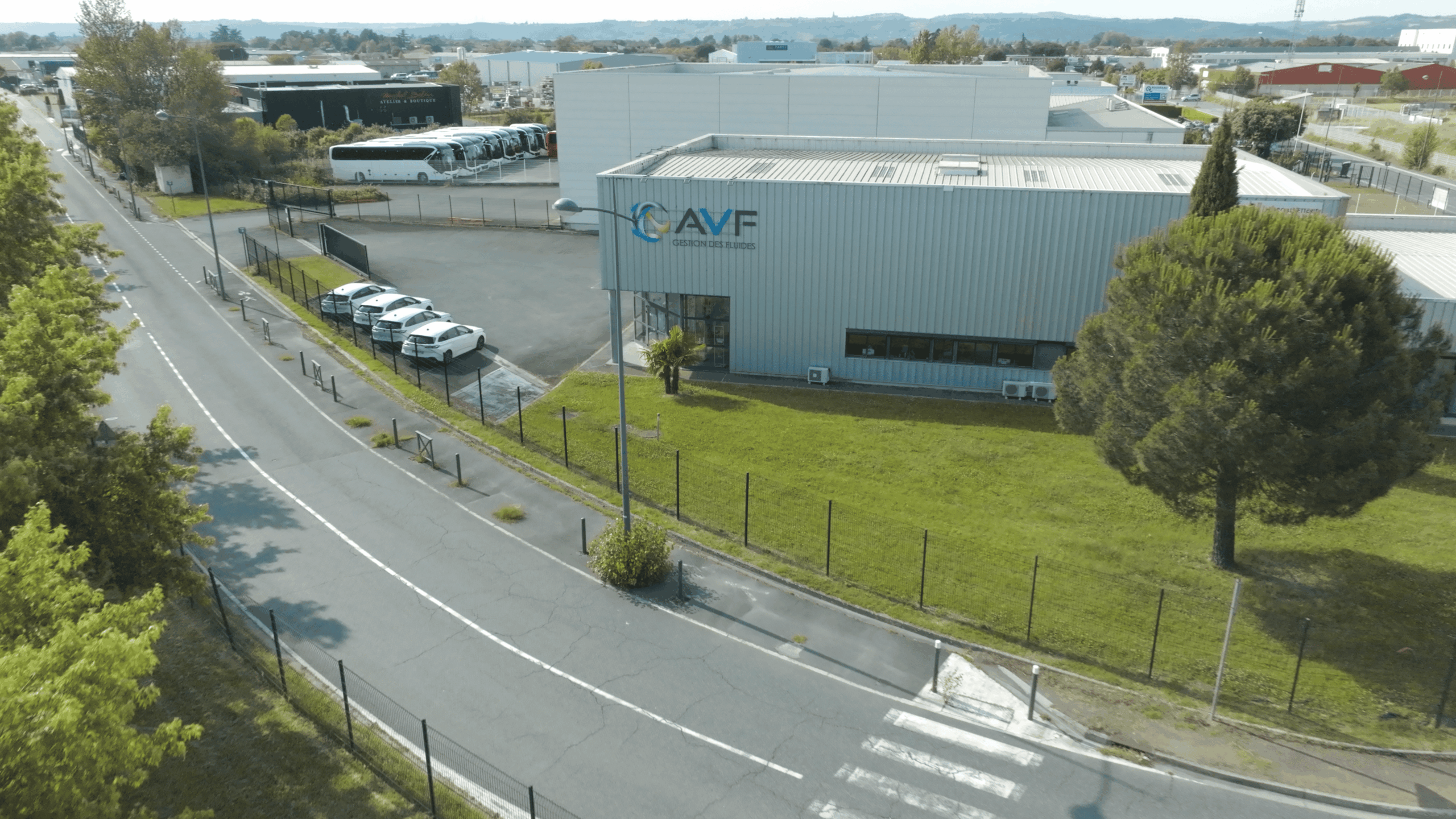 AVF 19